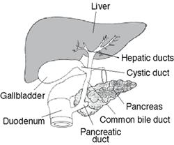 Laparascopic Appendectomy